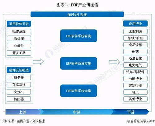 预见2021 2021中国ERP软件产业全景图谱